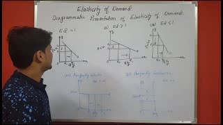 Price elasticity of demand chapter 6 microeconomics Part 2 Theory portion [upl. by Ainival242]