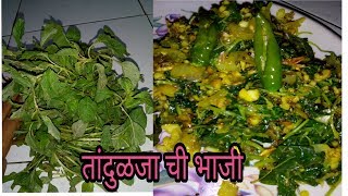 तांदुळजा ची भाजी  चवळी ची भाजीchaulai ki sabji amaranth leaves vegetable  by marathi tadka [upl. by Trev]