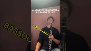 POV Clarinetist in Orchestra Rehearsal clarinet [upl. by Natsirhc]