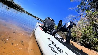 THE BEST pedal KAYAK for Bigger people CHEAP Hammerhead Baby Whale [upl. by Katrinka]