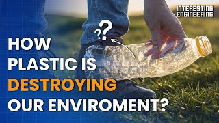 How plastic is destroying our environment and what to do about it [upl. by Gautea410]