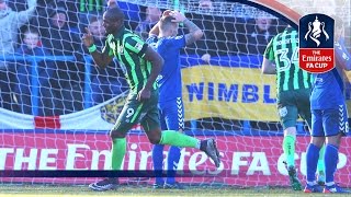 Curzon Ashton 34 AFC Wimbledon  Emirates FA Cup 201617 R2  Goals amp Highlights [upl. by Ayhtak]