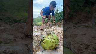 Survival Skills SIMPLE and USEFUL with winter melon bushcraft camping outdoors [upl. by Yedrahs851]