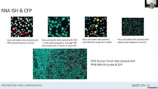 Lock and Key Spatomics CFP Technology [upl. by Quent]