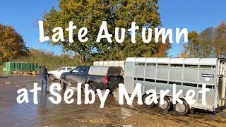 Late Autumn at Selby cattle market [upl. by Drofhsa]