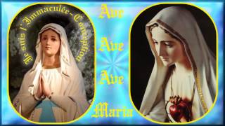 AM86a Ave Maria de Lourdes  Les 15 mystères du Rosaire [upl. by Kery]