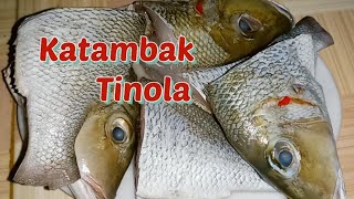 Tinola nga Isda Katambak Fish tinolangisda fishrecipe sinabawangisda [upl. by Leila442]