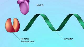 Mechanisms of Action of NonNucleoside Reverse Transcriptase Inhibitors NNRTIs [upl. by Ahsinam]