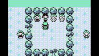 Pokemon Blue Walkthrough Part 28 Gym Leader 4 Erika [upl. by Mcintosh875]