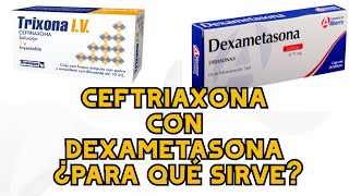 Ceftriaxona con Dexametasona ¿para qué sirve [upl. by Rica]