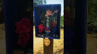 Special art in Cerrillos art beauty exploremore vlogtober october [upl. by Eldridge126]