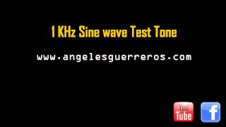 1 KHz Sine Test Tone [upl. by Eba]