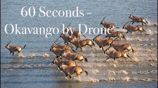 Drone over the Okavango Delta Botswana [upl. by Attolrac328]