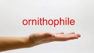 How to Pronounce ornithophile  American English [upl. by Aronos762]