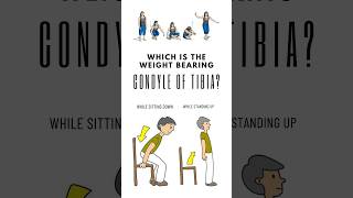 Which is the weight bearing condyle of tibia While planning to sit down and stand up shorts [upl. by Adnyc]