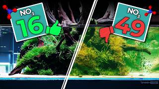 The Beginning Guide To Aquarium kH Part 2  What Is The Right kH Level For Your Tank [upl. by Rhonda924]