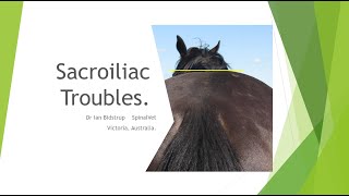 Sacroiliac Troubles [upl. by Ange]