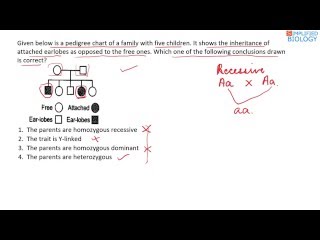 PEDIGREE ANALYSIS MCQs Genetics for NEET AIIMS AIPMT MCAT JIPMER PREMED [upl. by Ellehsim197]