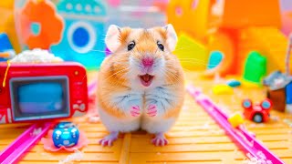 Amazing 😱 Hamster Escapes the Crystal Cave Maze 🐹 Hamster Maze [upl. by Mccowyn]