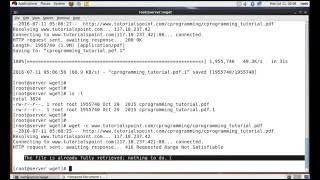 WGET Command in Linux [upl. by Wolsky923]