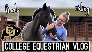 Day in my Life as a College Equestrian  Finals Riding Coaching Lessons VLOG [upl. by Enoved679]