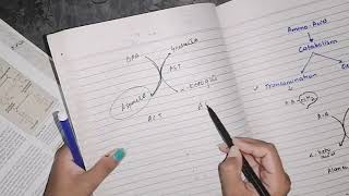 Transamination amino acid Catabolism biochemistry [upl. by Yraillih457]