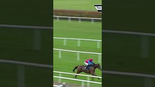 Facile Vega makes winning start over fences horse horseracing racingtv sport britishhorseracing [upl. by Dionne]