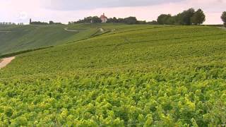 WineProducing Regions  Mosel Pfalz and Franconia  Discover Germany [upl. by Uriisa391]