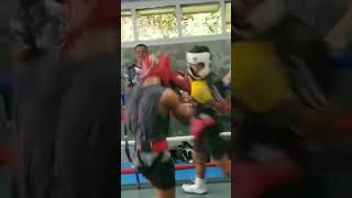 esparring session s mobo boxing gym highlights boxing sports action combat [upl. by Ilatfan]