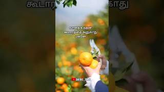 🍒வாதை உந்தன் கூடாரத்தை அனுகாது🍓Fathersj berchmans songs tamilchristensong jesusbgm tamil [upl. by Euqinmod]