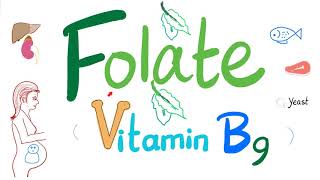 Vitamin B9 Folate 🥬  Folic  Structure Function Folate Deficiency Anemia Diagnosis amp Treatment [upl. by Allin]