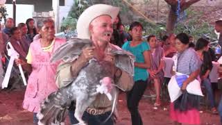 El Baile Del Guajolote De Los Padrinos Del Novio [upl. by Goulet]