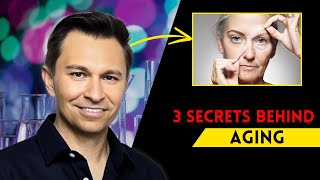 Discover SECRETS To AGELESS Beauty and LONGEVITY Dr David Sinclair [upl. by Nitsyrk]