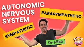 Autonomic Nervous System Sympathetic amp Parasympathetic  Overview [upl. by Airb]