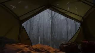 Rain on Camping Day at Deserted Forest that Warm your Soul  ASMR Natural Sounds Relaxing Music [upl. by Latimer]