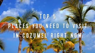 Royal Caribbean Top 5 Places You Need to Visit in Cozumel Right Now [upl. by Paul327]