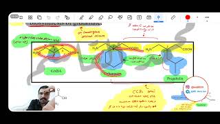 مرحلة رابعة  Org chemistry  Anticonvulsant Drugs Part 2 [upl. by Ecyoj]