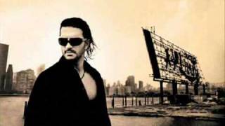 Ricardo Arjona  Si usted la viera original [upl. by Tichon]