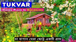 Tukvar  Offbeat Destination Near Darjeeling  A Homestay Surrounded by Tea Garden  Koilee Homestay [upl. by Silisav]