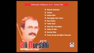 Gurbet Elde  Aşık Ali Nurşani [upl. by Engedi149]