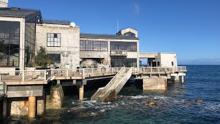 King Tides are today Biggest tides of the year  Live From The Monterey Bay [upl. by Alice]