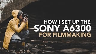 My Sony a6400a6600 Settings for Filmmaking [upl. by Nomad]