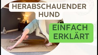 Herabschauender Hund • Alles was du über die Asana wissen musst [upl. by Dorwin795]