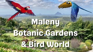 Maleny Botanic Gardens amp Bird World Sunshine Coast I Queensland Australia Travel Vlog 155 2023 [upl. by Ayrad]