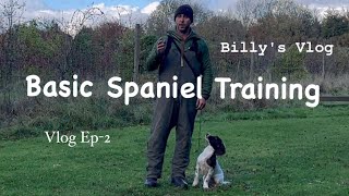 Basic Spaniel Training straight sends amp back retrieves quotBillys Vlog Ep2quot [upl. by Oni]