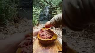 😋 outdoorcooking cooking bushcraft food meatlovers camping campingcooking outdoors [upl. by Acinorej]