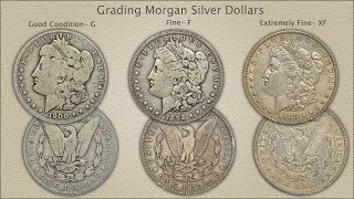 Grading Morgan silver Dollars [upl. by Masuh]