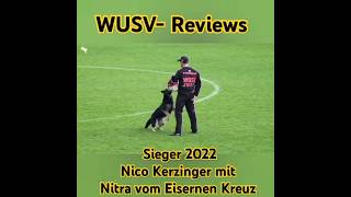 WUSV Reviews 2022 Nico Kerzinger mit Nitra vom Eisernen Kreuz [upl. by Avan]