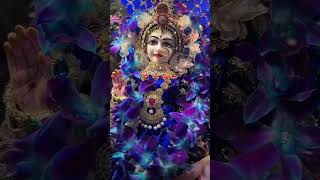 Murli ki taanon Si subscribe viralshorts shorts radhekrishna youtubeshorts [upl. by Fahland286]