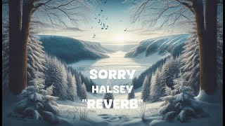 Halsey  Sorry Reverb Lyrics [upl. by Conway]